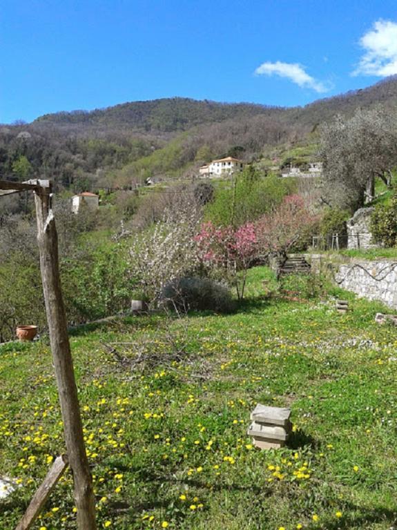 Rural House Rondini Hotel Camposasco Екстериор снимка